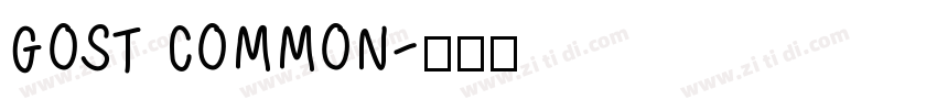 GOST COMMON字体转换